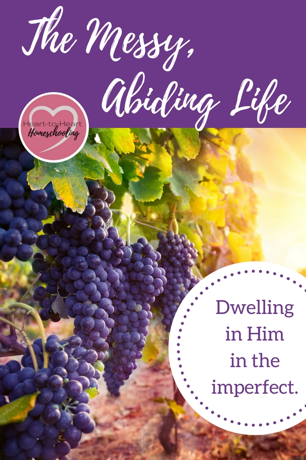 How do I abide in Christ? To dwell in Him where I am right now—imperfect person, imperfect circumstances, imperfect life. I live messy. But what if I live messy in Him? #faith #Christianfaith #homeschoolmom • faith • homeschool • homeschool mom